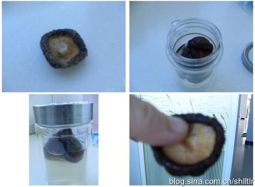 ��˿������Ƥ������