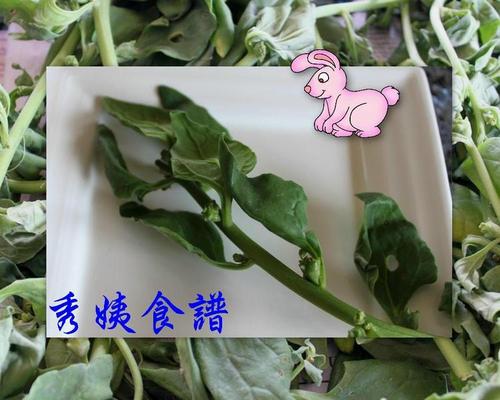 ����С��������