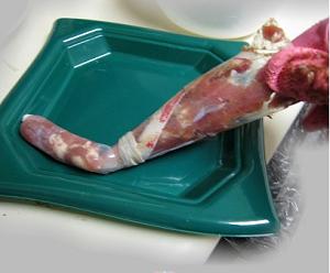 ���ƹ�������ɳ�������