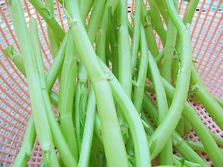 �峴���Ĳ˹�������