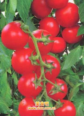 夏天防晒要会吃的做法