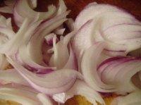 Ʈ�㼦���������