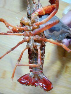 ��ζ����С��Ϻ������