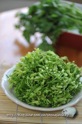 ҹ������Ƭ��������