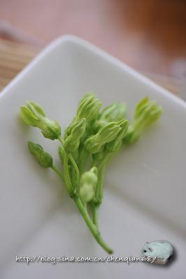 ҹ������Ƭ��������