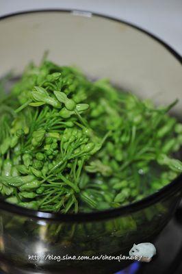 ҹ������Ƭ��������