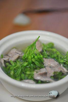 ҹ������Ƭ��������