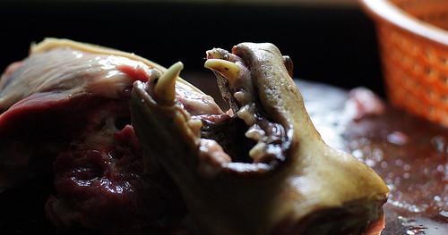 ���չ��������