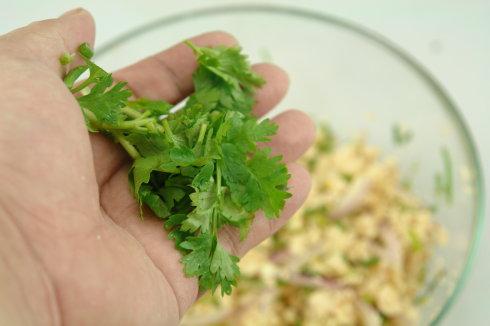 辣拌鸡肉的做法