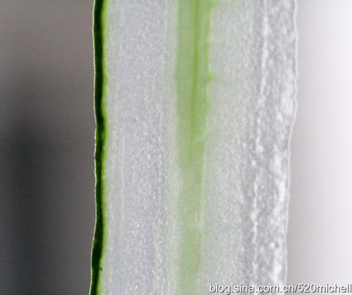 ֥�齴�̵���Ͼ�������