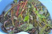 �㴻������������