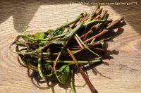 �㴻������������