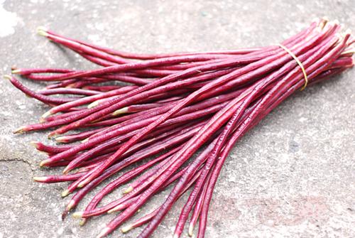 �϶��ǳ�������������