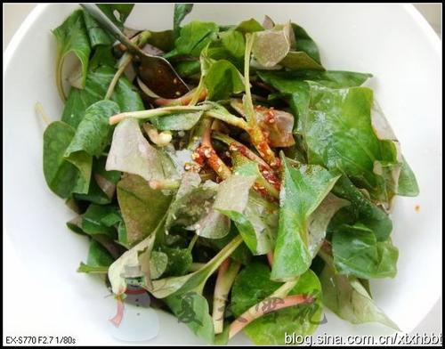 凉拌鱼腥草叶的做法