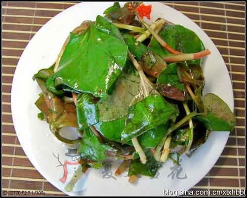 凉拌鱼腥草叶的做法