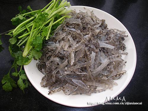 ������Ƥ������