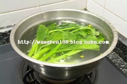 ���Ͳ��ĵ�����