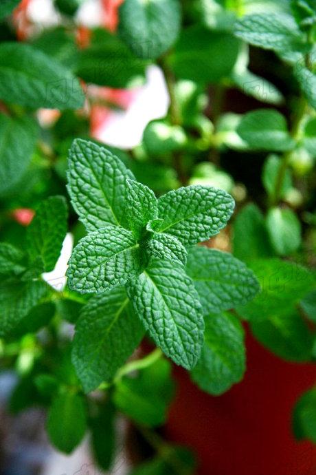 ���������������