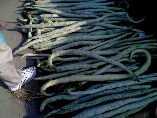 �߹ϻ�ɱ�������