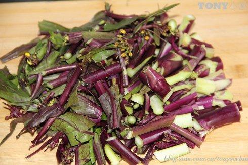 ������̦�˵�����