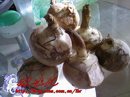 慈菇炖腊肉的做法