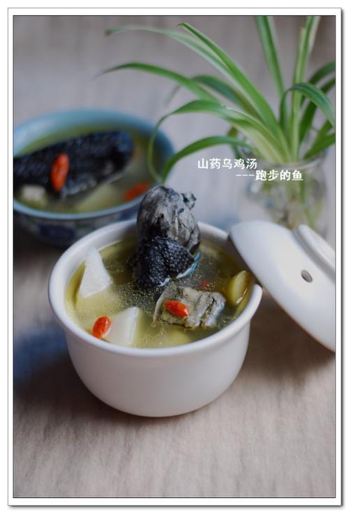 ɽҩ�ڼ���������