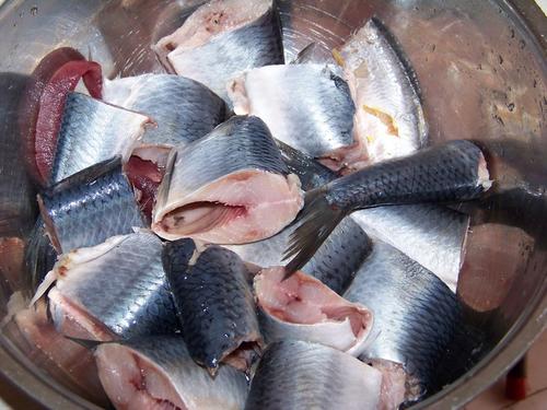 ơ�Ʒ���ɳ���������