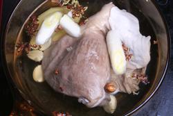 ���Ͷ�˿������