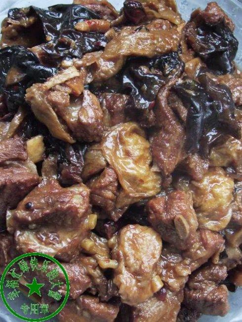 ����Źǵ�����