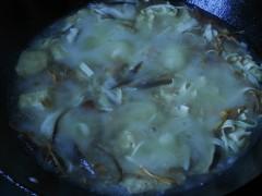 ţ��������������