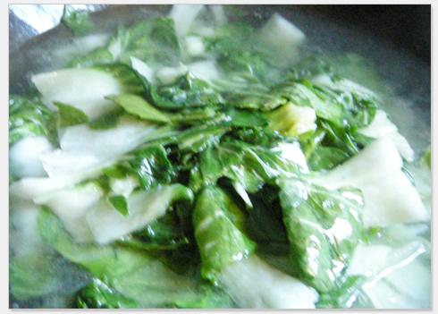 ������Ͷ���������