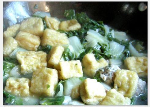 ������Ͷ���������