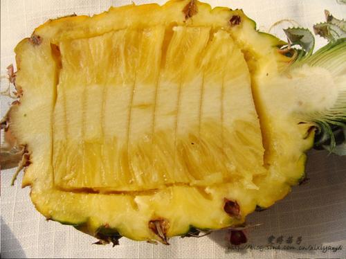 ���ܻ�ţ�������