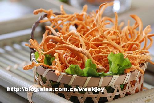 ��ݻ������Ź���������