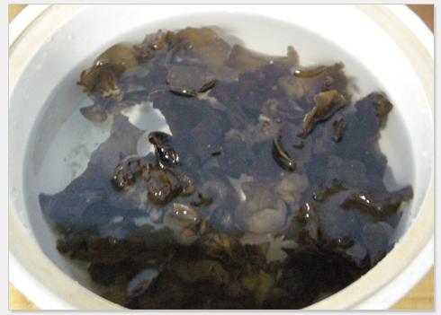 ��������ľ��������