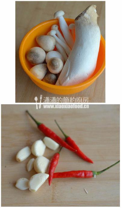 ������͵�����