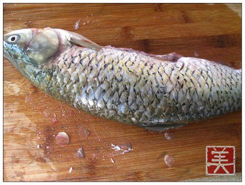 �Ͷ������������