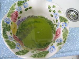 ���㱡��Ѽ������