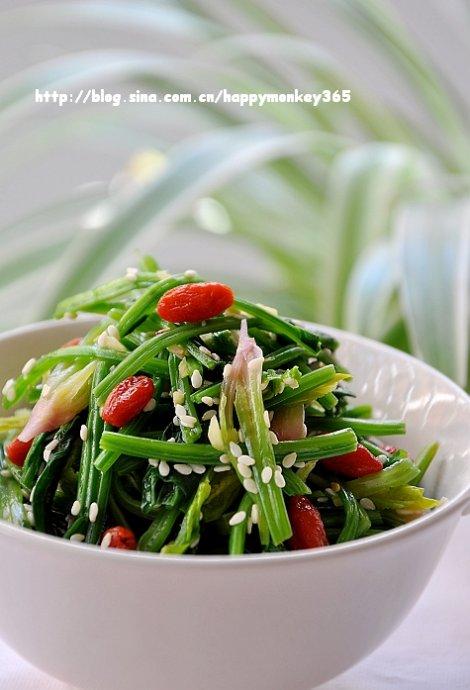 ֥����轰貤�˵�����