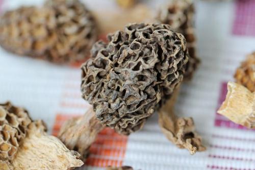 ���Ģ����������