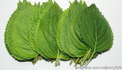 �������������ӵ�����