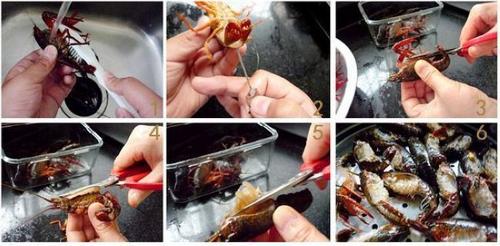 ����ơ��С��Ϻ������