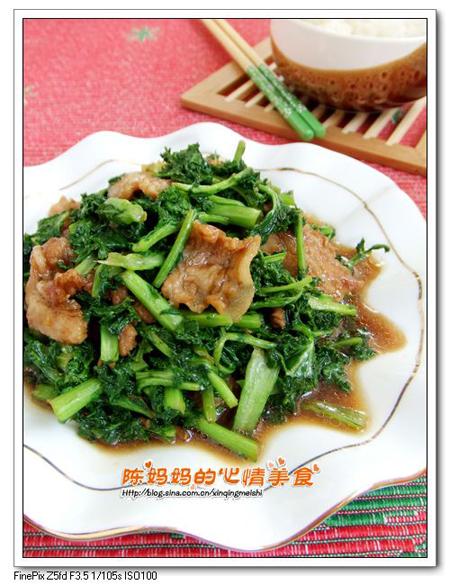 ̦�˳���Ƭ������