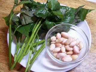 ����Ҷ������������