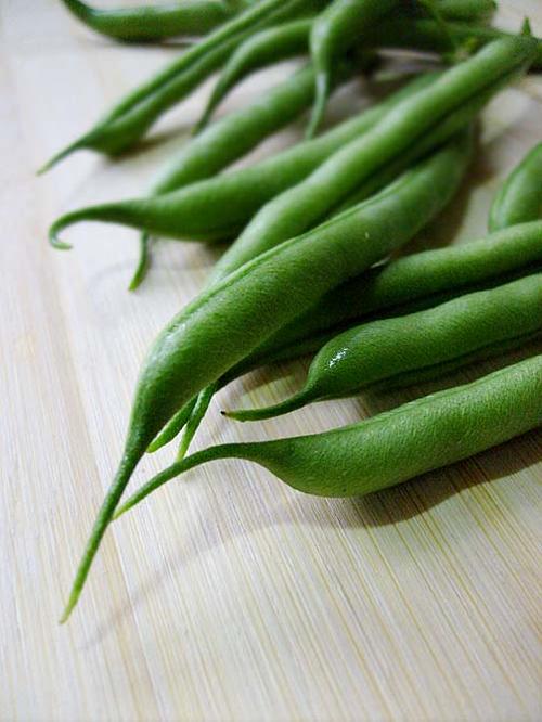 �����˳����ǵ�����