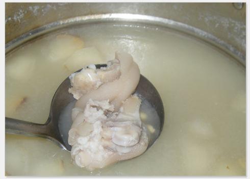 ѩ��ƶ�������������