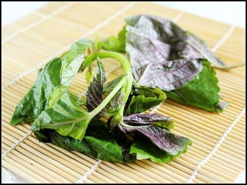 �������մ��̼�������