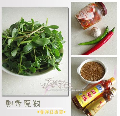 香拌马齿苋的的做法