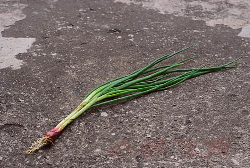 大葱炒鹅杂的做法