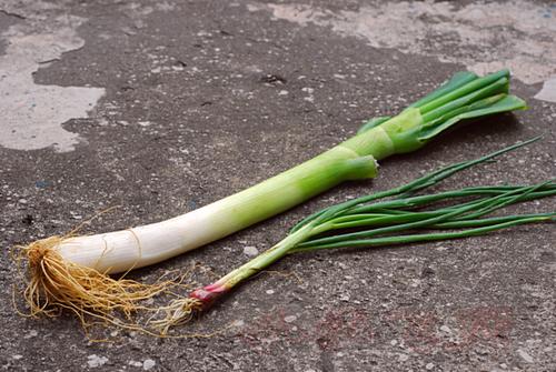 大葱炒鹅杂的做法